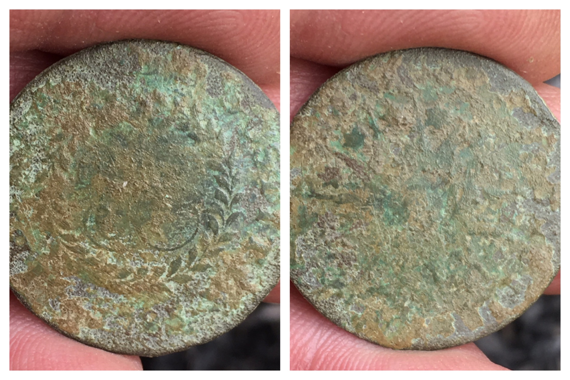 1785 Nova Constellatio IMG 3149